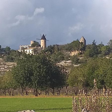 Villa Beatrice Sencelles Luaran gambar